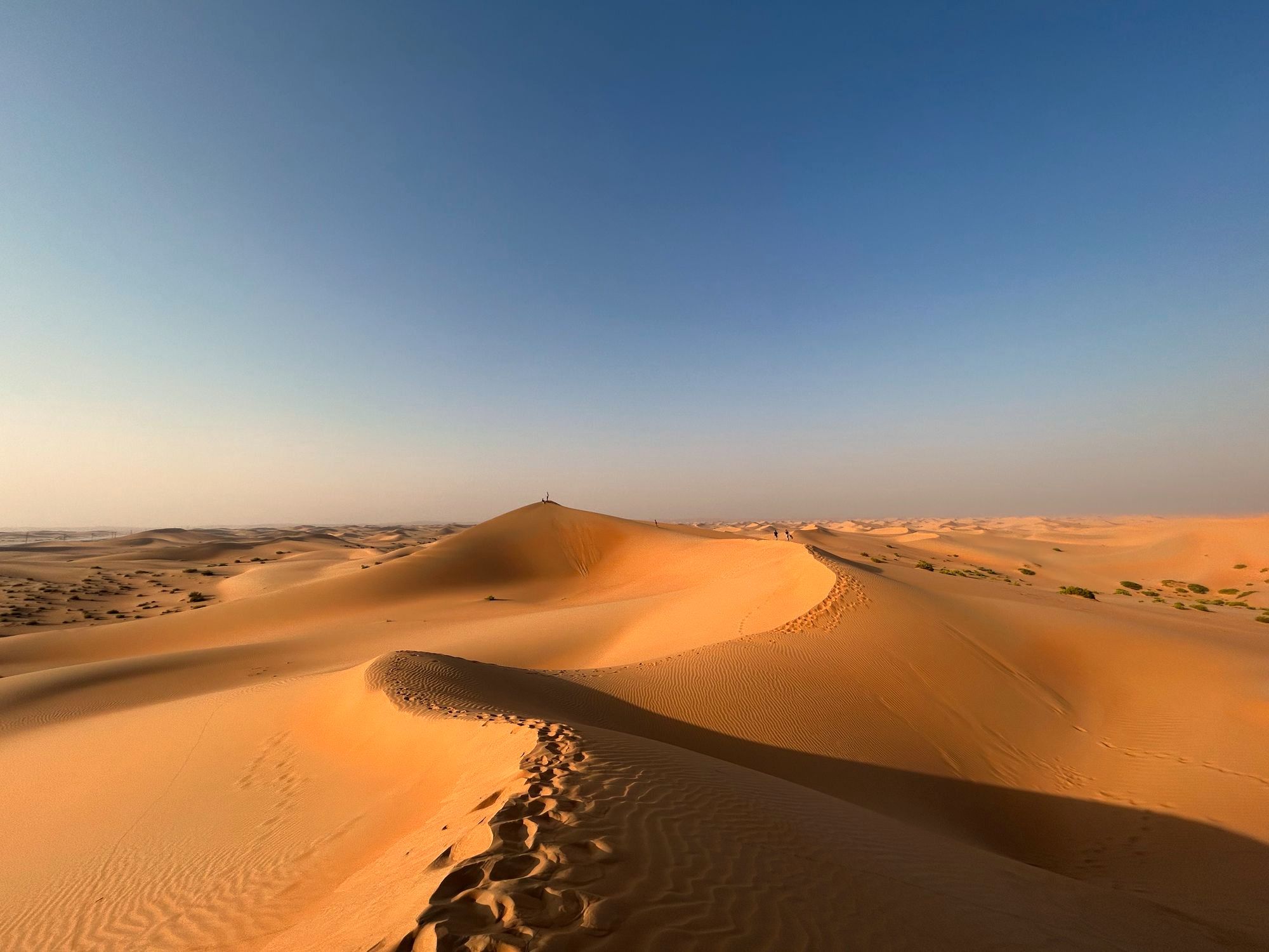 Productivity with AI: The Empty Quarter Desert